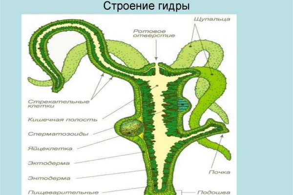 Сайт кракен войти