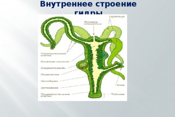 Ссылка на кракен в тор браузере