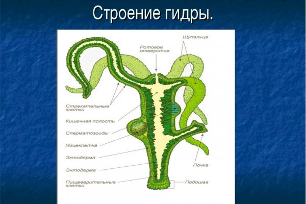 Регистрация на кракен