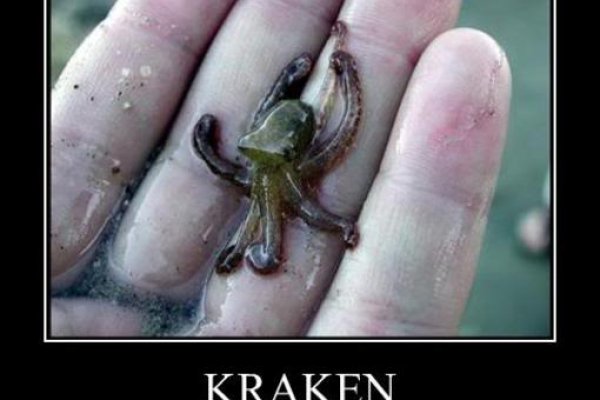 Kraken darknet ссылка